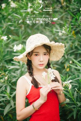 知否知否应是绿肥红瘦全集免费